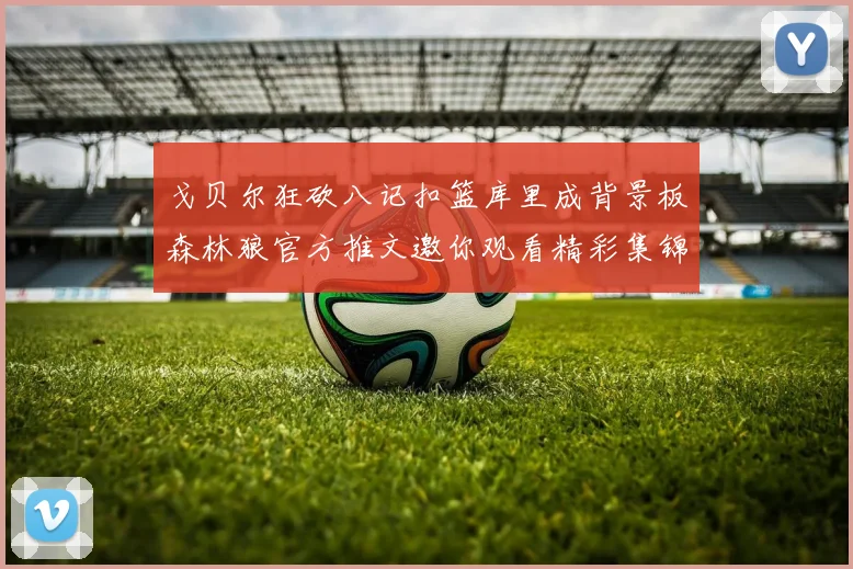 戈贝尔狂砍八记扣篮库里成背景板森林狼官方推文邀你观看精彩集锦