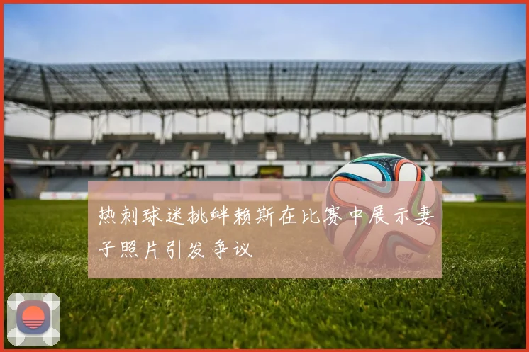 热刺球迷挑衅赖斯在比赛中展示妻子照片引发争议