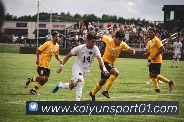 开云体育平台生态图