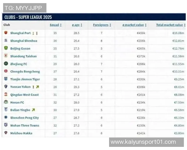 德国转会市场网发布2025年中超联赛球员身价年终更新引发关注